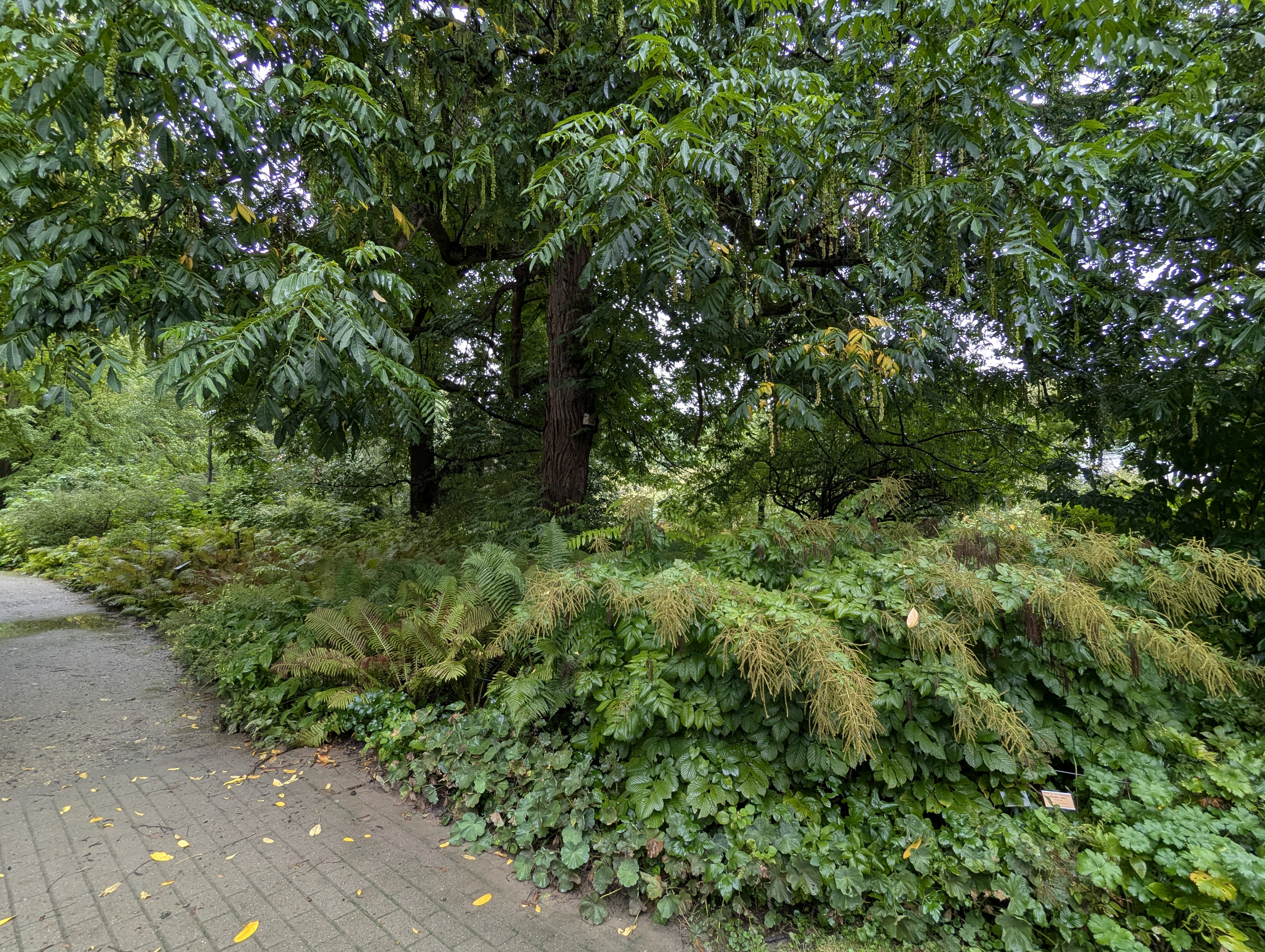 Botonic Gardens, Muenster, Germany